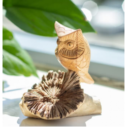 Handmade Parasite Wood Art Carving - Owl Watching